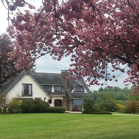 Elegant Villa In Stavelot With Fitness Playroom Εξωτερικό φωτογραφία